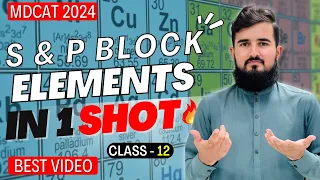 S P Block Elements Full Chapter In One Shot By Sir Samiullah Chemistry Class 12