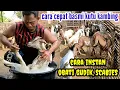 Download Lagu CARA CEPAT OBATI KUTU DAN SCABIES