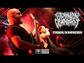 Download Lagu EXTERMINATION DISMEMBERMENT - TERROR DOMINATION (Official Video)
