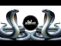 Download Lagu BILANCHI NAGIN - HIGH GAIN MIX - COMPETITION SONG - DJ SHREYAS IN THE MIX - NAGPANCHAMI SPECIAL SONG
