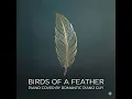 Birds of a Feather (Piano Cover)