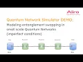 Quantum Network Simulator DEMO modeling entanglement swapping in realistic conditions