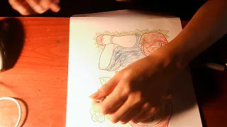 Coloring Picture Of Baby Sitting On The Grass Holding A Flower 24   Boom Bap Flick
