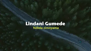 lindani gumede ndlela zimnyama official lyric video 