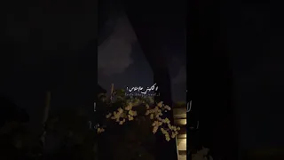 يلي بيتو من بلور مابيرمي بحجارو الناس أصالة الطابق مستور اغاني Explore حالات واتس اصاله 