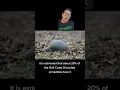 9 banded armadillos can carry leprosy