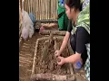 Download Lagu Single Mother Builds a New Bed, Cooking Area, and Cupboard for Her Family