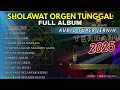 Lagu Sholawat Merdu Orgen Tunggal Terbaru 2025 | Bikin Hati Tenang \u0026 Damai
