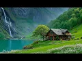 Download Lagu Restore Your Nervous System🌿 Soothing Music \u0026 Nature Sounds to Relieve Stress \u0026 Recharge