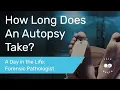 How Long Does an Autopsy Take A Day in the Life of a Forensic Pathologist