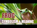 Frog Symbolism Meaning Spirit Totem Power Animal - Sign Meaning
