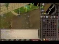 Runescape 2007 Monkey Madness Boss Fight Guide W 1 Pray 1 Defence
