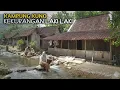 Download Lagu WOW‼️SEKALI MASUK KETAGIHAN‼️KAMPUNG KEKURANGAN LAKI LAKI‼️ KAMPUNG PALING SEPI DI TENGAH HUTAN JATI