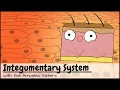 Integumentary System