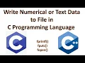 Write Numerical or Text Data to Files in Programming Language