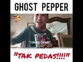 Download Lagu PADAN MUKA ! BELAGAK sangat cakap GHOST PEPPER TAK PEDAS