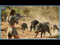 Hunting in the Wild – Insane Moments Hunter Take Down Wild Boar, Crocodile, Hogs and Bear to Survive