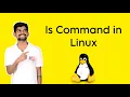 Mastering the ls Command in Linux