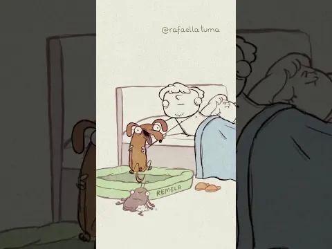Meu cachorro quando vou dormir: