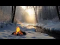 Winter Morning Campfire Ambience 🔥 Relaxing Nature Sounds: Crackling Fire, Flowing Stream \u0026 Birds