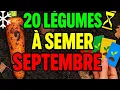 Download Lagu 👉 20 Vegetables to PLANT in SEPTEMBER Before It’s TOO LATE! ❄️