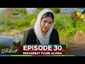 Lagu Mohabbat Tujhe Alvida Episode 30