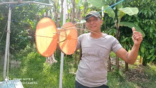 butterfly kite