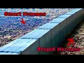 Download Lagu In 2050, Walls Separate Smart \u0026 Stupid Humans, Leaving The Stupid To Suffer