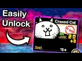 How to Get Crazed Cats Ultimate Guide