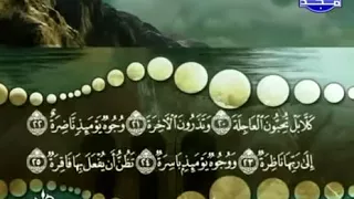 سورة القيامة كاملة ترتيل الشيخ محمد صديق المنشاوي من قناة المجد للقرآن الكريم دندنها