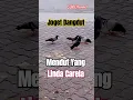 Download Lagu Mendut Yang - Linda Carela # Joget Dangdut