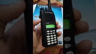 GP 280 مخشير لاسلكي Shorts 