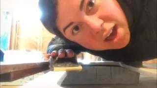 Gecko Carpentry Progress Pt 2