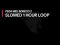 Download Lagu Pega meu boneco 2 | Slowed 1 hour loop