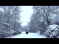 Martin Kohlstedt - ZIN (live from a snowy glade)