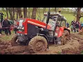 Download Lagu Traktor Festival Nedvězí 2019