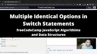 Multiple Identical Options in Switch Statements Basic JavaScript freeCodeCamp tutorial