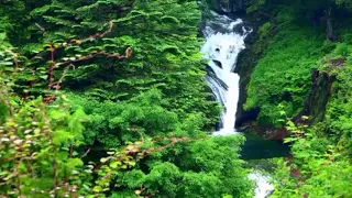 كانوا قليلا من الليل ما يهجعون بصوت طفل صوت جميل 