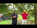 Sharing pengisian buah bersama pak Mul dan Mr Simon dari Malaysia
