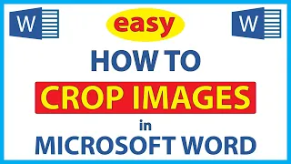 How To Crop An Image In Microsoft Word 365