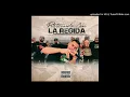 Fuerza Regida El Muchacho Alegre