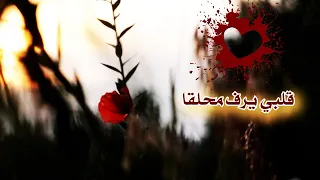 أنشودة لن تمل من سماعها   قلبي يرف محلقا  دندنها