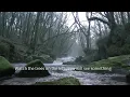 Ghost caught on camera in daylight on a Scottish river.