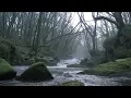 Download Lagu Ghost caught on camera in daylight on a Scottish river.