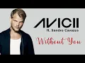 Download Lagu Without You - Avicii ft  Sandro Cavazza Lyric | VIRAL TIKTOK 2022