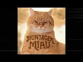 Download Lagu Ay mi gatito miau miau tiktok | MONTAGEM MIAU
