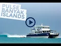 Download Lagu Pulse surf charter, Banyak islands, Northern Sumatra