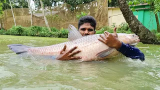 Cast a Lot of Fish With Net Fishing | Net Fishing in Pond