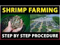 Download Lagu Shrimp Farming | How to start Prawn Farming Business | Step by step Guide