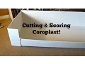 Coroplast Base How To Cut Score For C C Cages